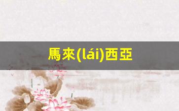 馬來(lái)西亞 退休簽證(馬來(lái)西亞退休簽證是多大歲數(shù))